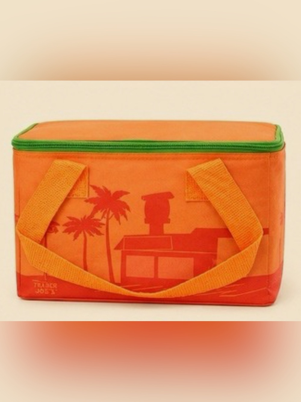 Trader Joes Mini Insulated Bag